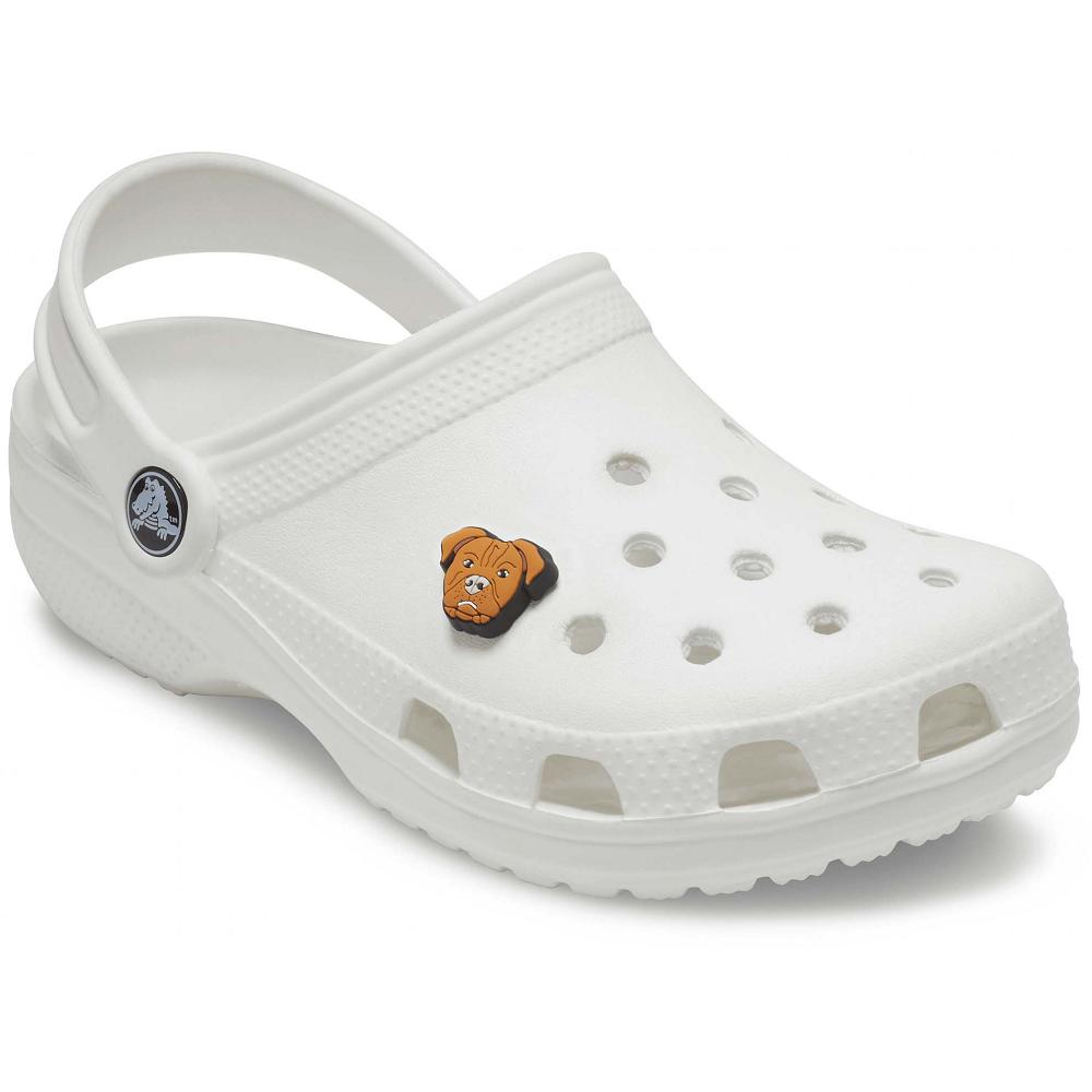 Multicolor Men's Crocs Pitbull Jibbitz Charms | NZ 1008ZUTG
